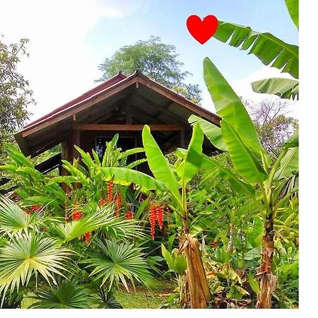 Pencave Homestay Pang Mapha Esterno foto