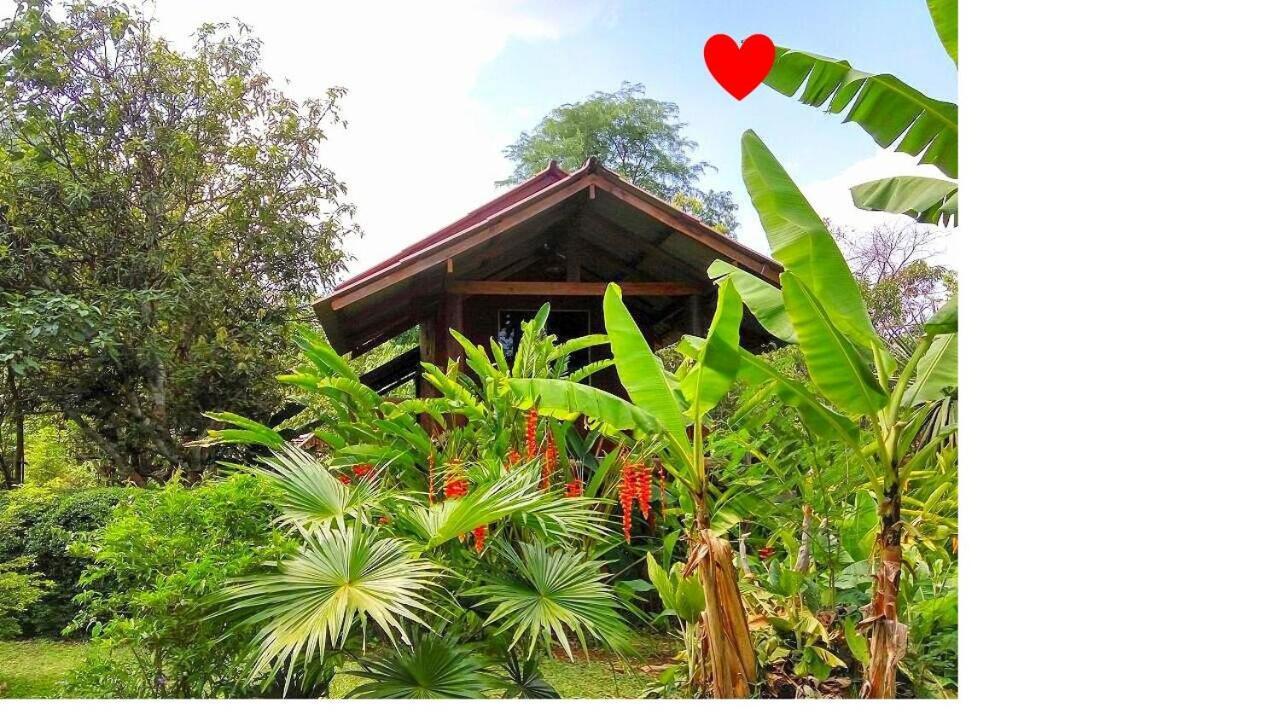 Pencave Homestay Pang Mapha Esterno foto